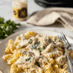 Crock Pot BWW Garlic Parmesan Chicken