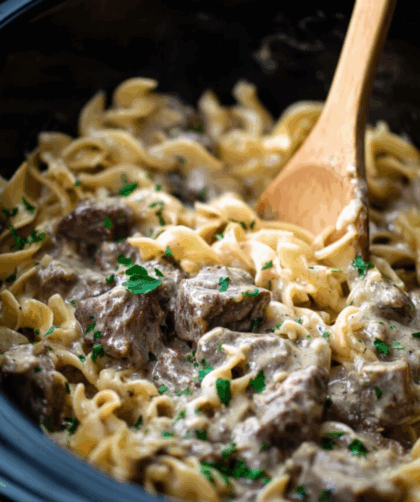 Crock Pot 5 Ingredient Beef Stroganoff