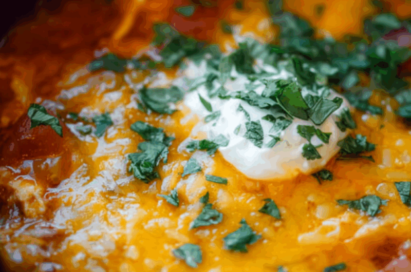 Crock Pot Chicken Enchilada Dip