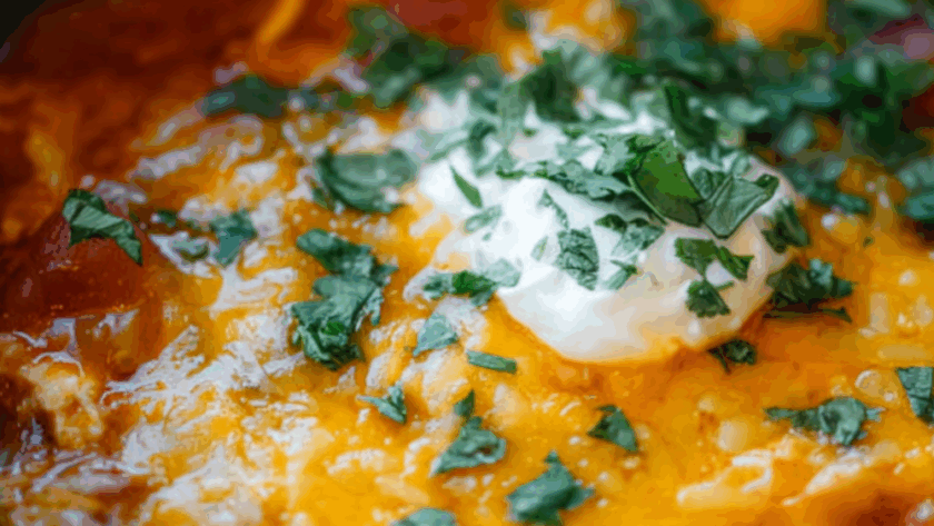 Crock Pot Chicken Enchilada Dip