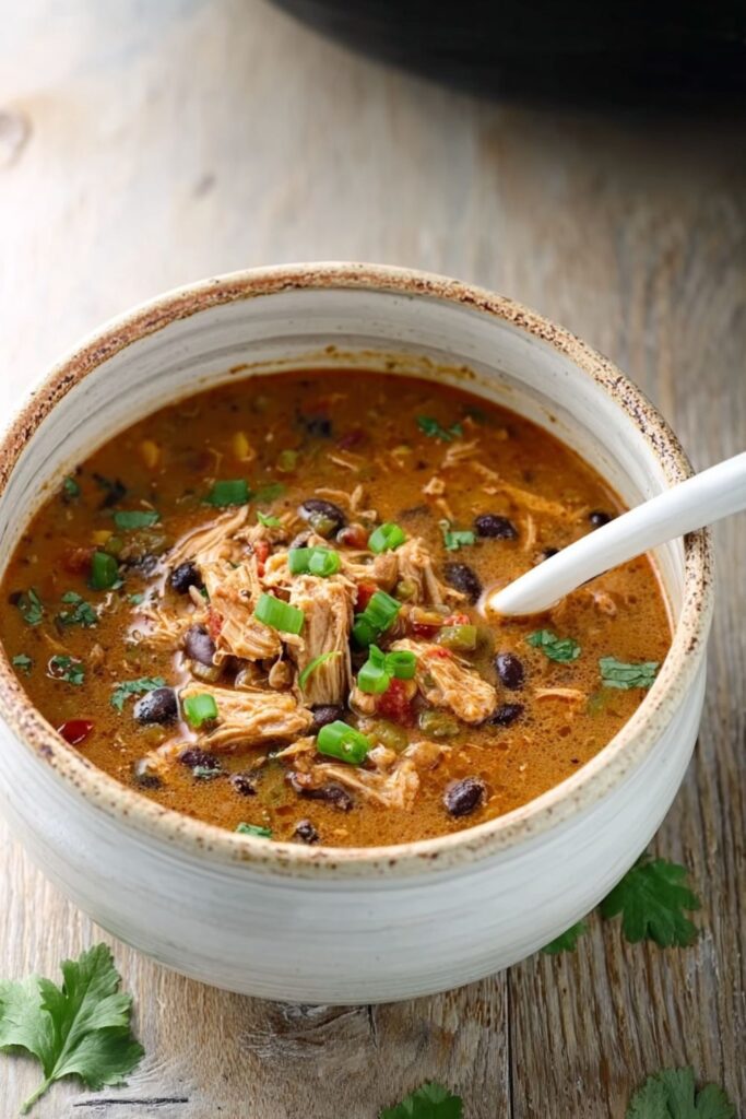 Crock Pot Southwest Chicken Soup