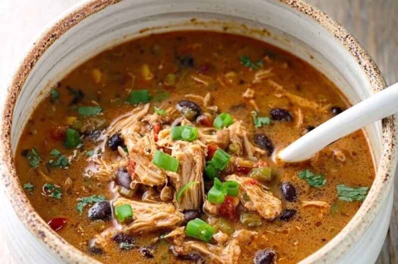Crock Pot Southwest Chicken Soup