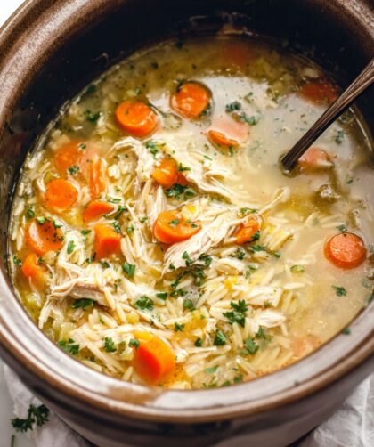 Crock Pot Orzo Soup