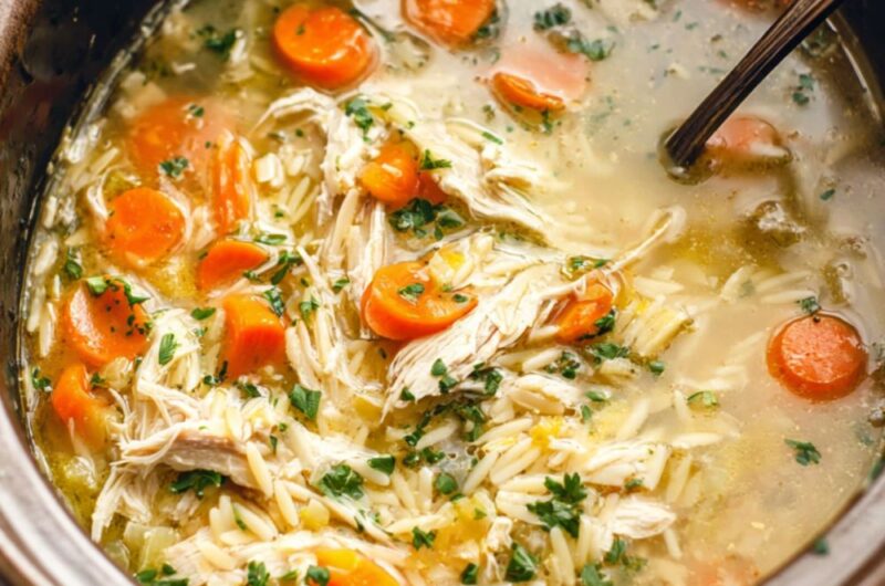 Crock Pot Orzo Soup