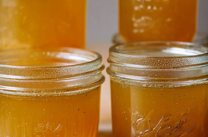 Crock Pot Turkey Stock Recipe