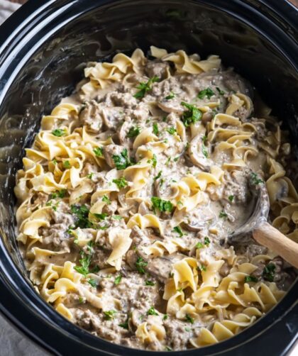 Crock Pot Turkey Stroganoff Recipe
