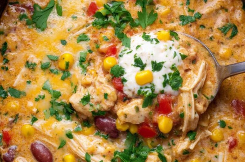Crock Pot Chicken Tortilla Soup
