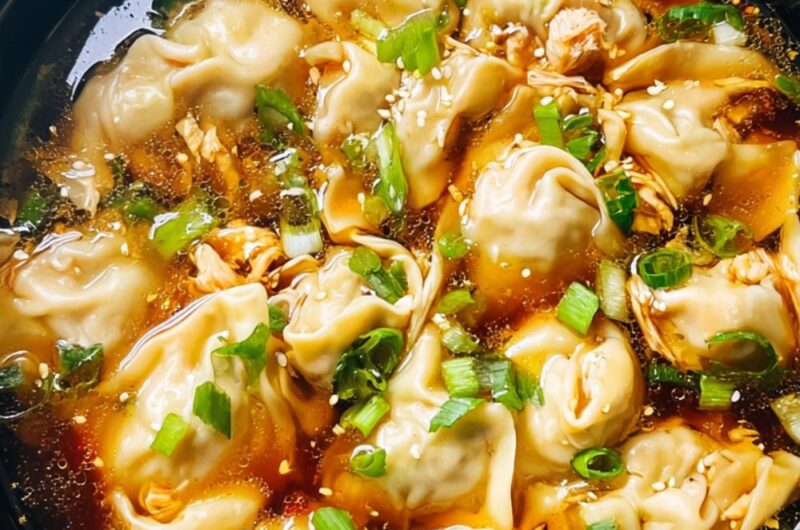 Crock Pot Wonton Soup