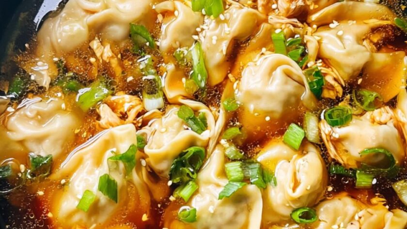 Crock Pot Wonton Soup